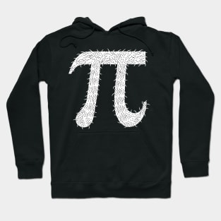 Hair Pi Math Joke T-shirt Hoodie